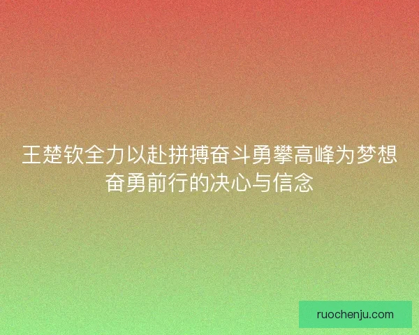 王楚钦全力以赴拼搏奋斗勇攀高峰为梦想奋勇前行的决心与信念